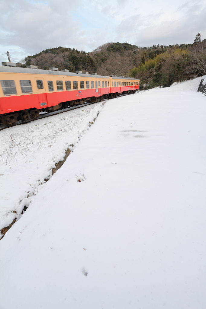 雪原を走れ