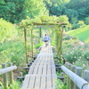 in the rose garden20