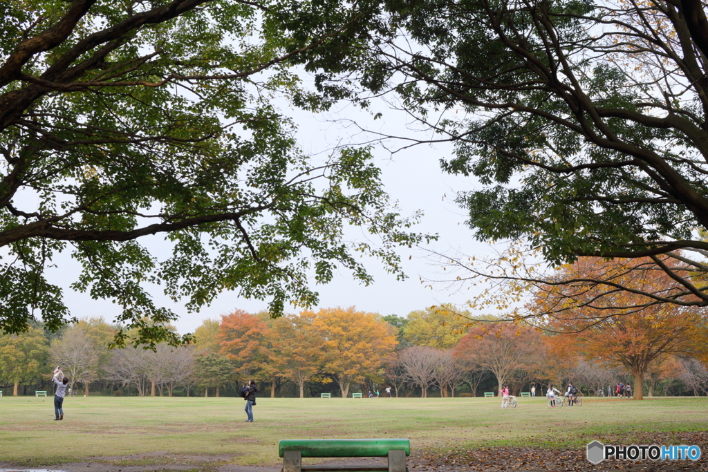 晩秋の広場