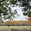 晩秋の広場