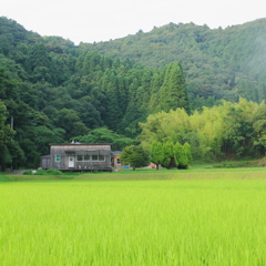 田園カフェ