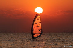 帆を染める夕日