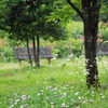 Natural garden