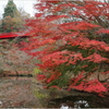 赤い橋と紅葉