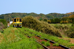 線路のある風景～初夏～