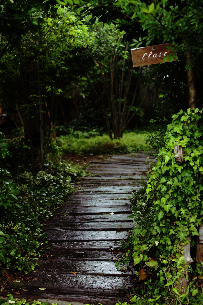 雨のエントランス