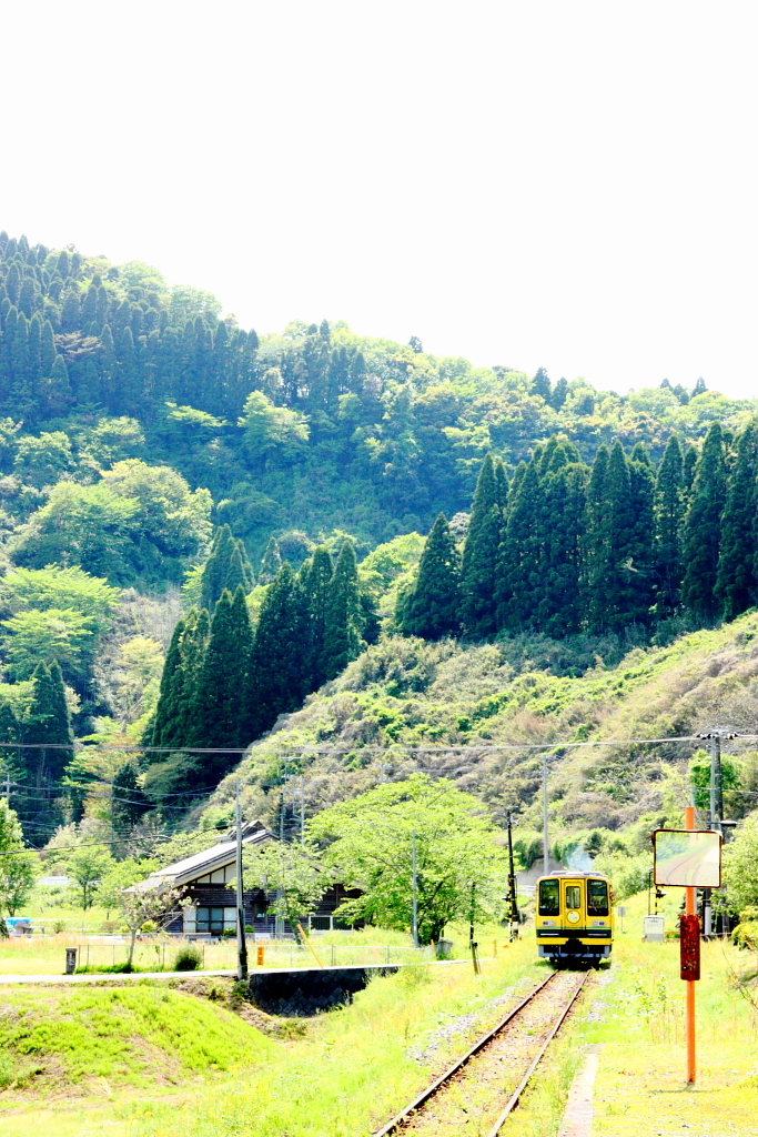 線路のある風景～眩しい初夏の光～