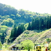 線路のある風景～眩しい初夏の光～