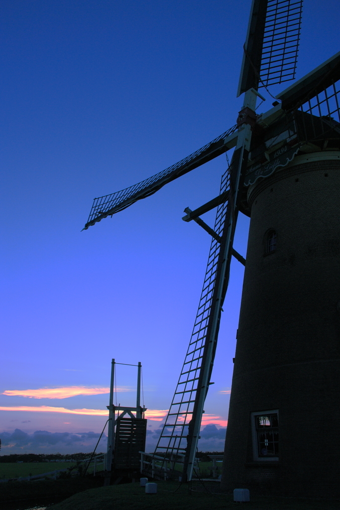 夕暮れの風車
