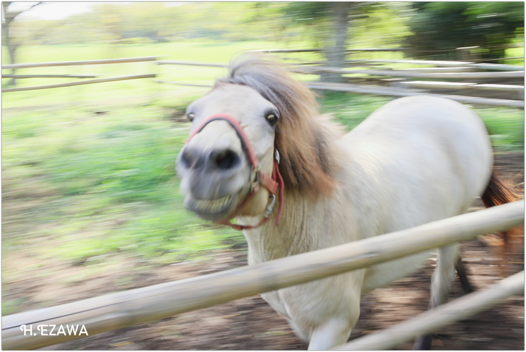run