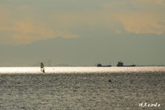光注ぐ東京湾
