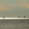 光注ぐ東京湾
