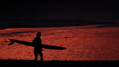 Surfer Girl