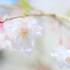 ふわっと