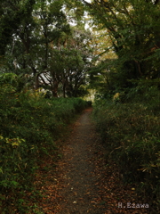 旧東金街道