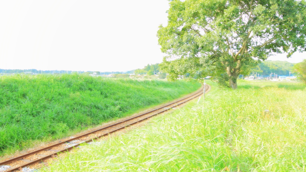 Line in the green