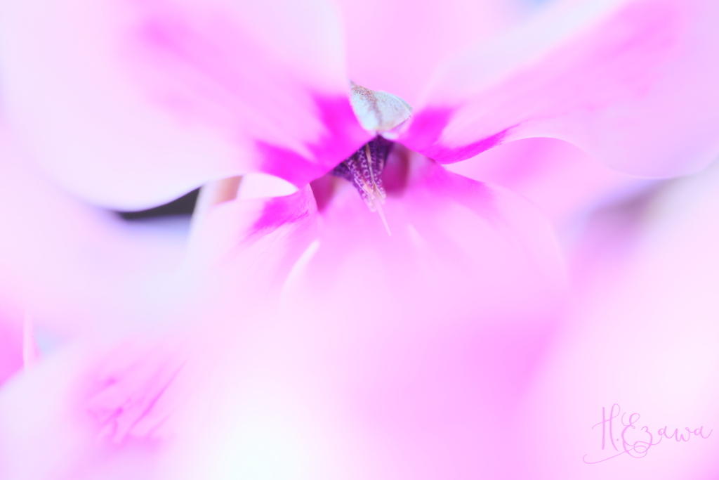 shyness