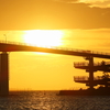 中の島大橋4
