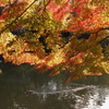 紅葉池Ⅲ