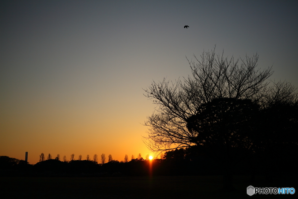 夕空