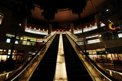 golden escalator