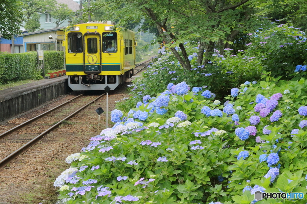 あじさいの駅