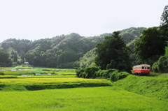 里山を走る