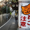 ねこ注意
