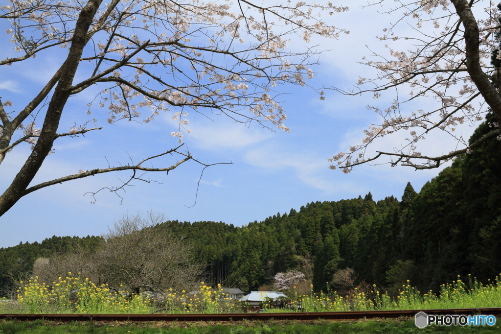 里山沿線