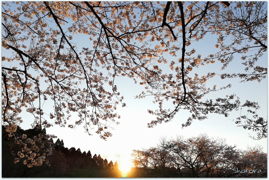 夕日に染まる