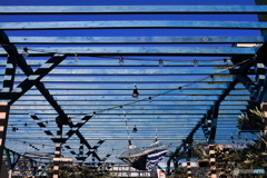 Blue line