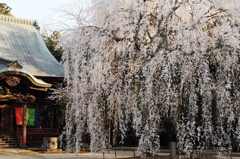 夕寺