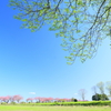 牧場の春2