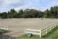 乗馬場