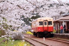 春の駅