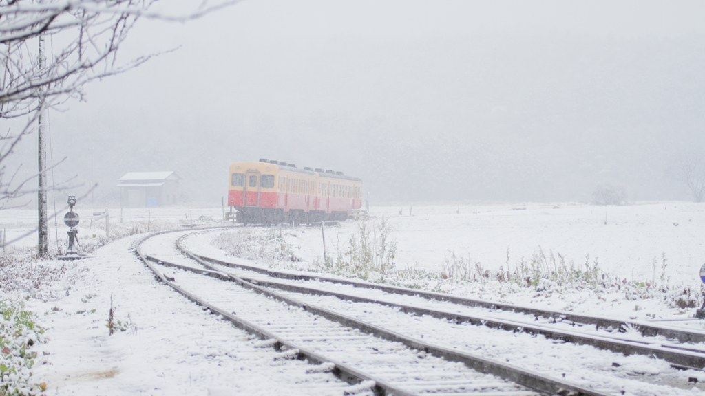 雪の中へ