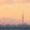 検見川から見るスカイツリー
