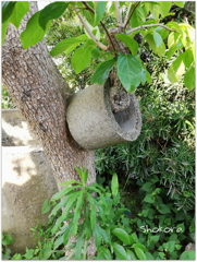 お、重くないすか(^^;)