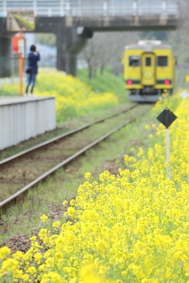 レモンイエローの駅