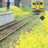 レモンイエローの駅