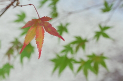 お先に