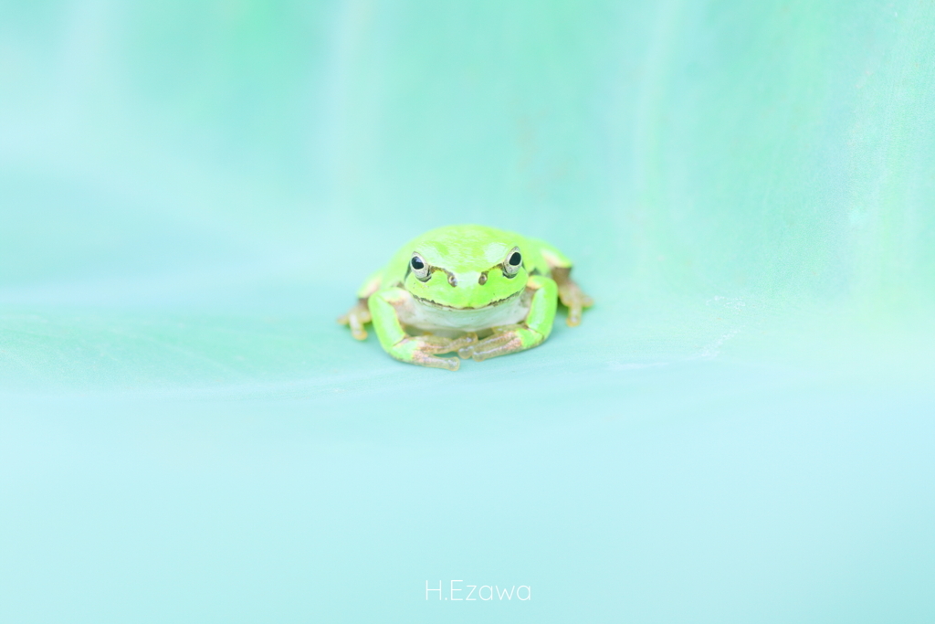 視線