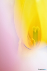 secret2