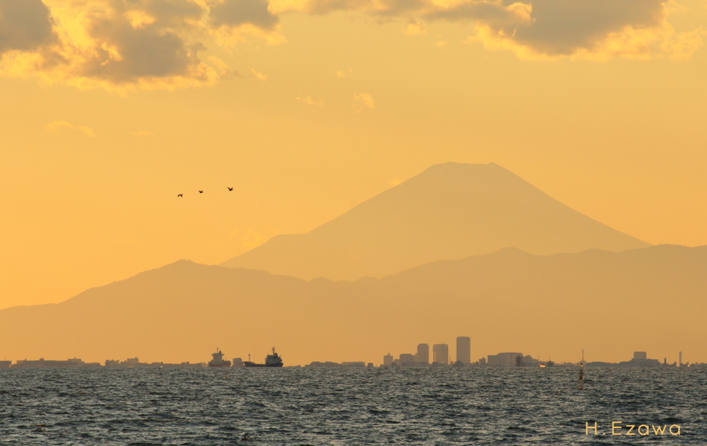 東京湾ごしの富士山