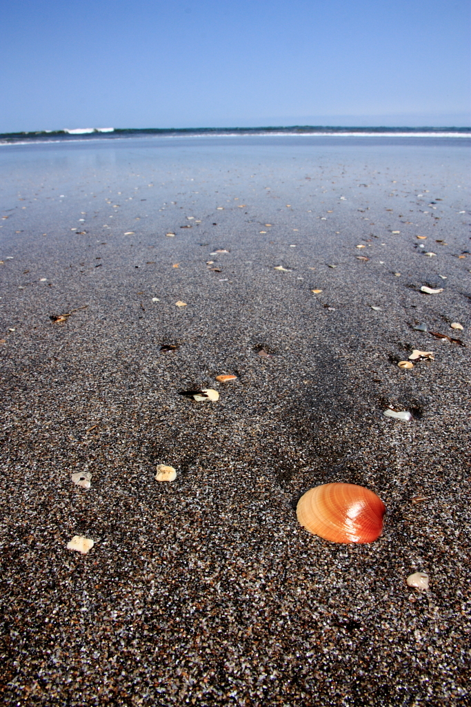 砂浜の宝石