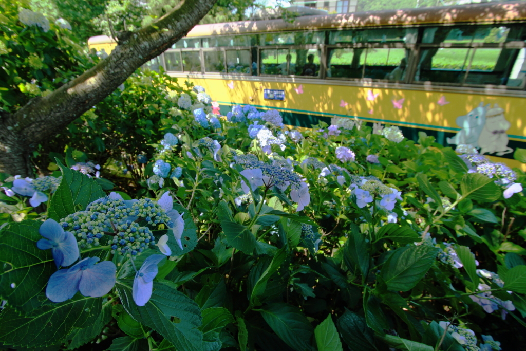 木漏れ日の駅