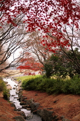 紅葉の小川