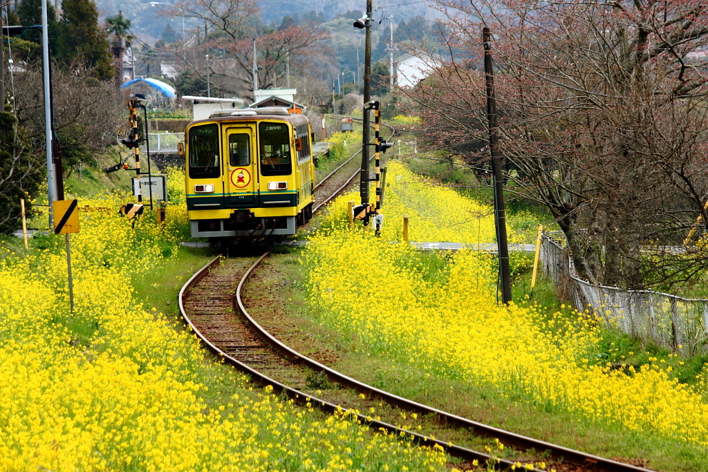 線路のある風景Ⅵ～のんびり出発～
