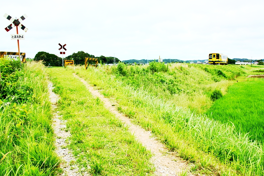 線路のある風景～田んぼの踏切～ by shokora （ID：654877） - 写真 