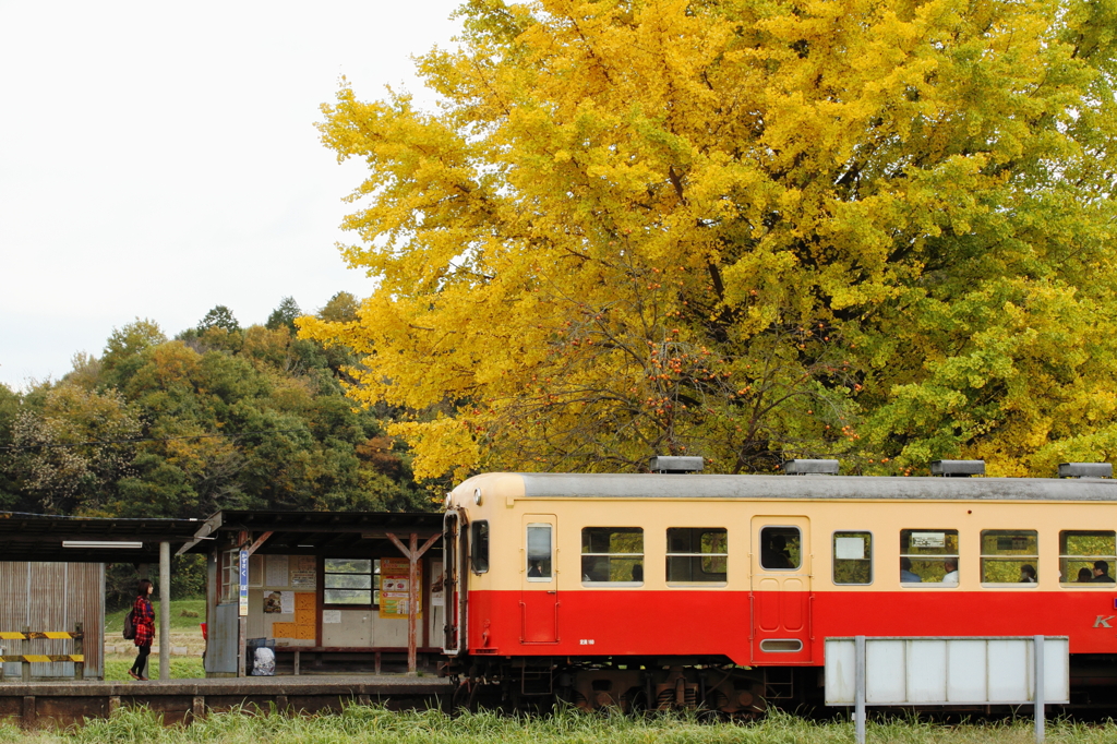 秋色の駅